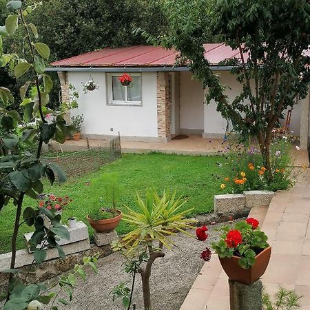 Apartamento Campo Santa Baia Vigo Dış mekan fotoğraf